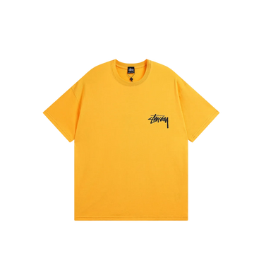 stussy t-shirt