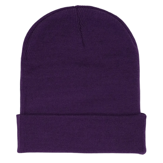 Sp5der Rhinestone Web Beanie Purple